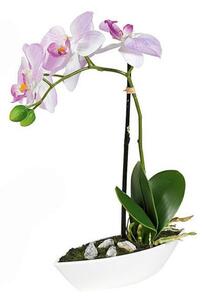 ORCHIDEJ orchidej 28 cm