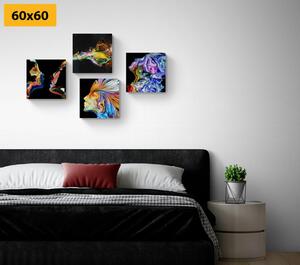 Set obrazů barevná abstrakce na černém pozadí Varianta: 4x 40x40