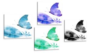 Set obrazů barevné motýly Varianta: 4x 40x40