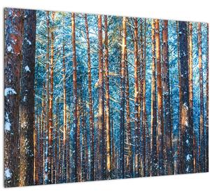 Skleněný obraz - Zimní les (70x50 cm)