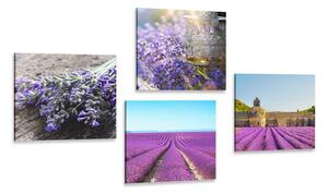 Set obrazů krásná levandule Varianta: 4x 40x40