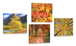 Set obrazů podzimní příroda v nádherných barvách Varianta: 4x 40x40