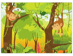Obraz - Opičáci (70x50 cm)