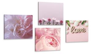 Set obrazů květiny v jemném růžovém odstínu Varianta: 4x 40x40