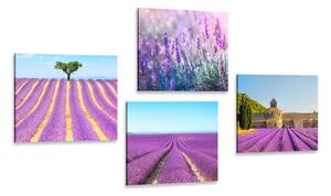 Set obrazů levandulové pole Varianta: 4x 40x40