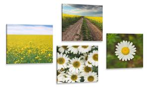 Set obrazů louka plná květin Varianta: 4x 40x40