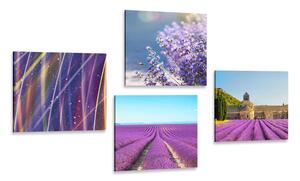 Set obrazů levandulové pole s abstrakcí Varianta: 4x 40x40