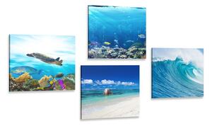 Set obrazů mořský svět Varianta: 4x 40x40