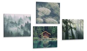 Set obrazů přírodní krásy Varianta: 4x 40x40