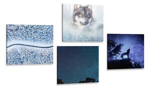 Set obrazů samotářský vlk Varianta: 4x 40x40