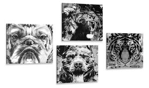 Set obrazů zvířata v černobílém provedení pop art stylu Varianta: 4x 40x40