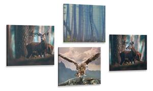 Set obrazů zákoutí lesa Varianta: 4x 40x40