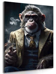 Obraz zvířecí gangster šimpanz Varianta: 60x90