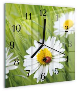 Skleněné hodiny na stěnu Sedmikrásky zskc-30x30-00172976