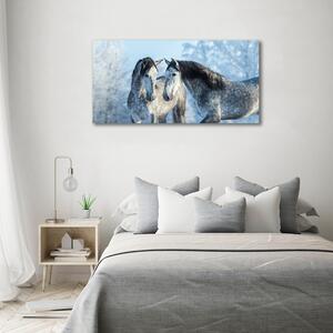 Fotoobraz na skle Zima šedý kůň cz-osh-100x50-f-116887257