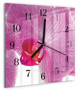 Skleněné hodiny na stěnu Orchidej zskc-30x30-00178018