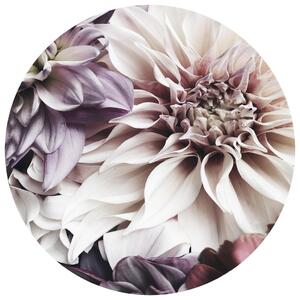 OBRAZ NA SKLE, květiny, 70 cm Monee - Skleněné obrazy