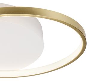 Stmívatelné stropní svítidlo BENITO LED/31W/230V 3000-6500K bílá/zlatá