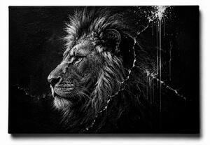 KRAFTHOUSE.EU Lion | 100% bavlna | Různé rozměry Velikost: 40 x 30 cm