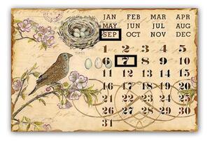 Kovový nástěnný kalendář Ptačí zpěv 25 x 38 cm (ISABELLE ROSE)