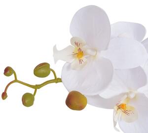 Umělá rostlina orchidej s květináčem - 75 cm | bílá