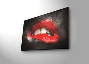 (3727) KISS nástěnný obraz na plátně LED