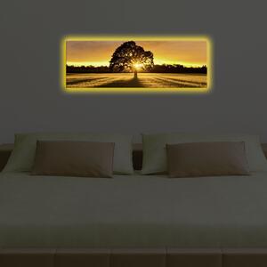(3720) SUNSET nástěnný obraz na plátně LED