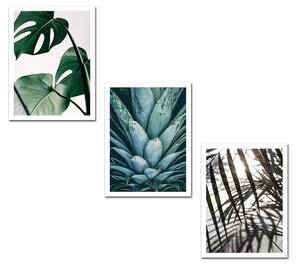 (3715) PLANTS nástěnný obraz MDF (3 kusy)