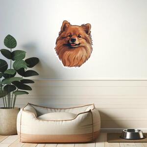 PIPPER. Nálepka Pomeranian Velikost: 60cm