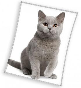 Mikroflanelová dětská deka Britská Kočka Šedá 150x200 cm