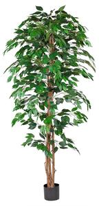 Umělý strom Fikus zelený - přírodní kmeny, 180cm