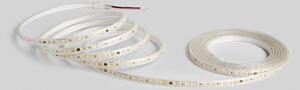 FAN STRIP220V-2835-8F LED pásek SMD 220 V 8 W/m 960 lm/m 6500 K pf > 0.5 20 m - FANEUROPE