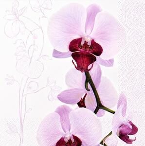 Ubrousky Růžová orchidej viva 3400433