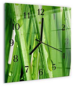 Skleněné hodiny na stěnu Tráva zskc-30x30-00177387