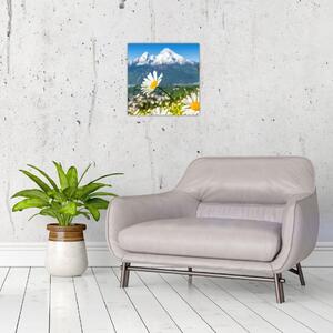 Obraz - Jaro v Alpách (30x30 cm)