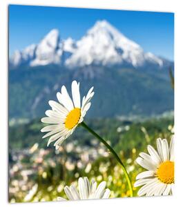Obraz - Jaro v Alpách (30x30 cm)