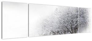 Obraz - Zimní alej (170x50 cm)