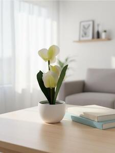Sinsay - Dekorativní rostlina v květináči – orchidej - krémová