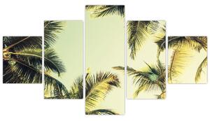 Obraz s kokosovými palmami (125x70 cm)
