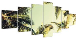 Obraz s kokosovými palmami (210x100 cm)