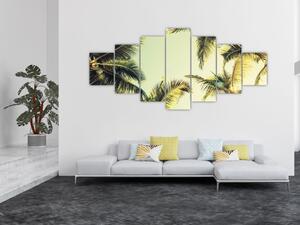 Obraz s kokosovými palmami (210x100 cm)