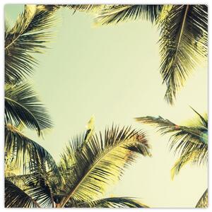 Obraz s kokosovými palmami (30x30 cm)