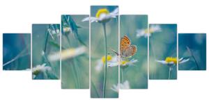 Obraz - Motýl na sedmikrásce (210x100 cm)