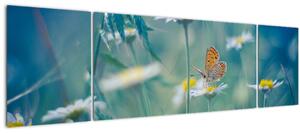 Obraz - Motýl na sedmikrásce (170x50 cm)