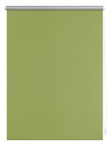 Lichtblick Termo zatemňovací roleta, od 45 x 150 cm (zelená, 45 x 150 cm) (100312502037)