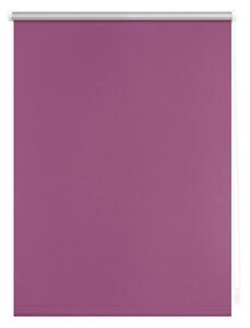 Lichtblick Termo zatemňovací roleta, od 45 x 150 cm (fuchsiová, 50 x 150 cm) (100312502080)