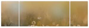 Obraz - Olejomalba sedmikrásek (170x50 cm)