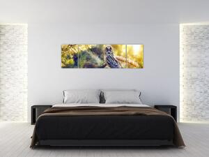 Obraz sovy na stromě (170x50 cm)