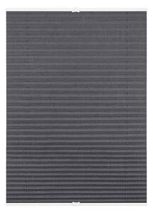 Lichtblick Plisovaná roleta, od 45 x 130 cm (šedá) (100313038091)