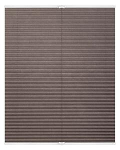 Lichtblick Plisovaná roleta, od 45 x 130 cm (šedohnědá) (100313038122)